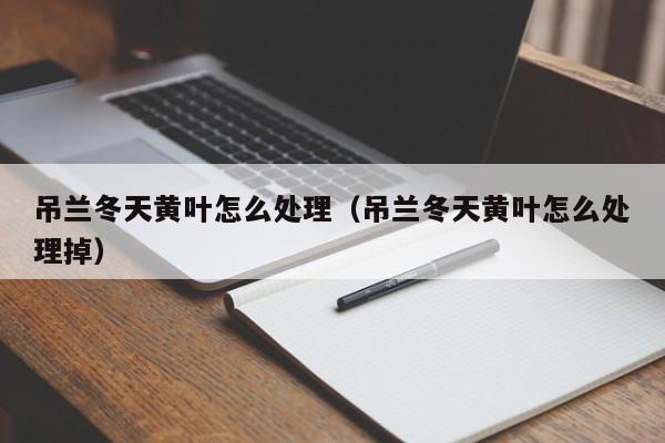 吊兰冬天黄叶怎么处理（吊兰冬天黄叶怎么处理掉） 